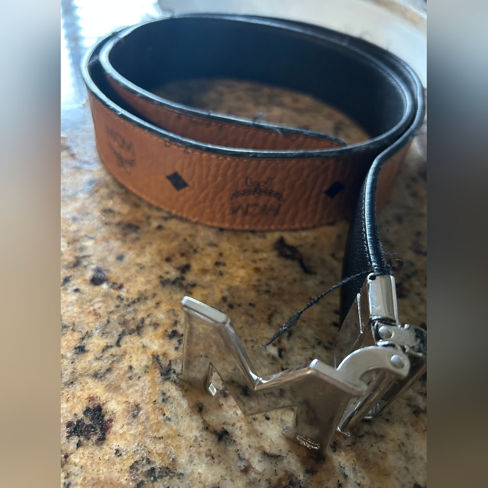 Brown and Black Belt with Silver Buckle